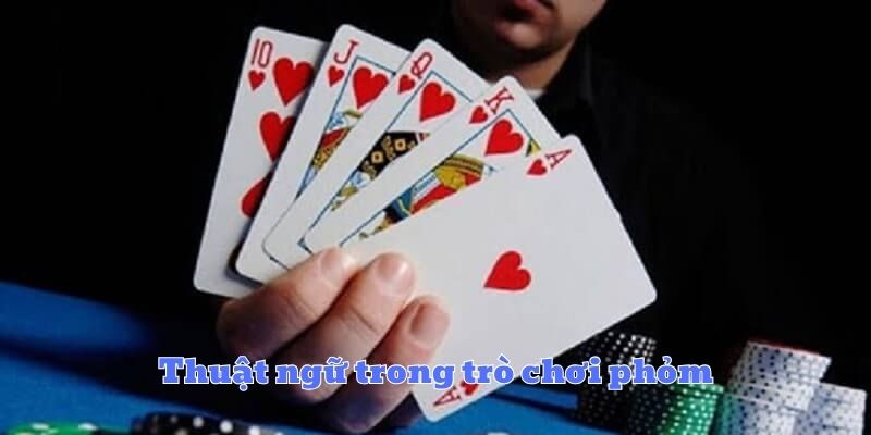 Những thuật ngữ thông dụng